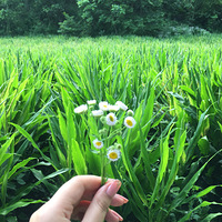 ʱ���߲� ����������ʲô��