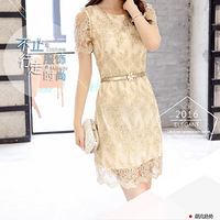 ��Ʒ����ͨ��������ƴ��Բ�쵥���г���װ����ȹ