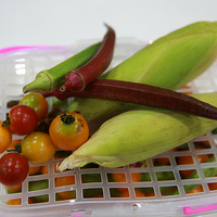 ���������ʳ��