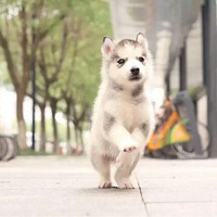 ���ǼҵĹ�����