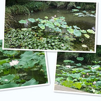 Ե���Ǌ�*���¸��Сʱ����*