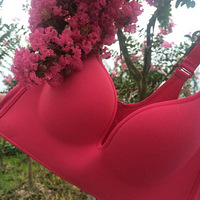 ����ɭ����