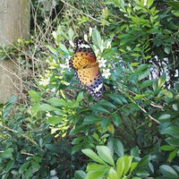 ��԰����֮��