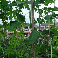 ��̫��̫�ȣ�̫������������ֻ�����ڼ��