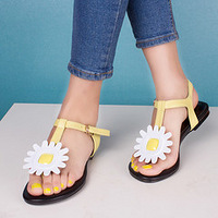 ���̣� ����������