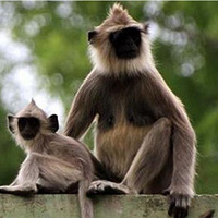 �����ʮ�����裺һ�Բ��;�ɱ����baby