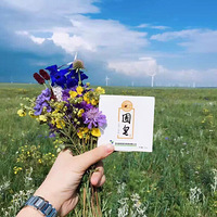 ����ҽ�������