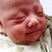 29�������С�������Ľ����ɳ��ռǣ�ͼ�ģ���������