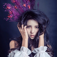 С�����պ�ϵ�������Ա�ģ����Ƭ��ɴ����