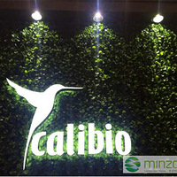 ǽ��߷���ֲ��ǽ����ߺ��г���