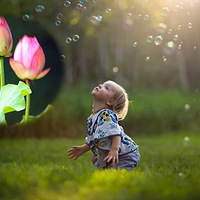 ��������Ƭ��