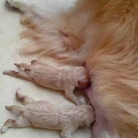 ���˱��������