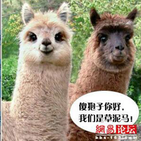 ����Ҫ���ػ���Ҫ����