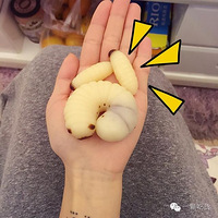 ��Щ������ǹ������͸����۵Ķ���������ģ�
