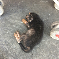 ������һ�λ��ᣬҲ�����ỹ��һ���漣