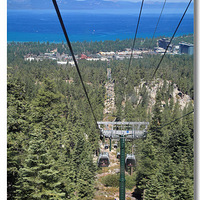 ����Ļ�ѩ����������ֳ�