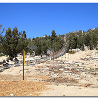 ����Ļ�ѩ����������ֳ�������