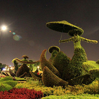 ���ݻ𳵶�վ���㳡ҹ����