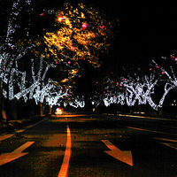 ��ɽ·ҹ��   ����Ϧ��