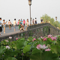 �׵�   ��������