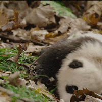 ��ɩ��ô�ң�һƪ�͹��ˣ��������ɩ��24H