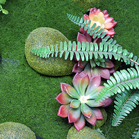 ���ȵ�����