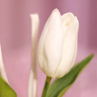 ����Ȼ����ʱ�������������������