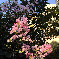 ���߲�ͬ�������Ͳ�ͬ��