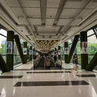 ��������Ӱ