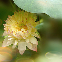 ����ʱ��