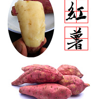 ���ؼ۳�ɱ��ʳ��2016��Ʒ��� ������2�� ��ӭ����ѡ��