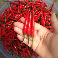 �Լ�������Ϻ���� ��Ʒ����