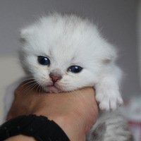 ��������һ�ҡ�����