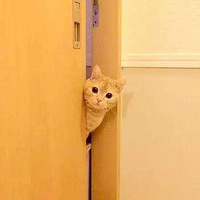 SNH48ŮǾڲˬʲôÿǹˬ