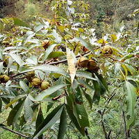 �����Ҹ����¾��ǳԣ��Ի��������㶮�ĸ�ɽ