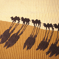 ��֯����