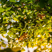 ��ʵ����