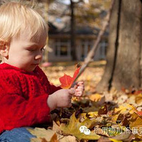 С������ | ��������ȫ����