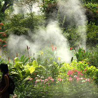 ���   ��ɽ�� �׵�