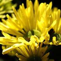 ���ݻ���