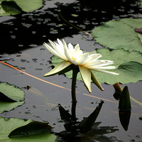 ��ɽ��˯��