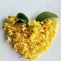 Ӧ��������ʩõ��+��һ�����������ã�