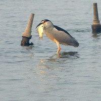 �������糿     ����