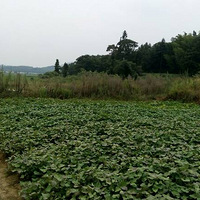 �Լ��ֵľ��Ǻó�