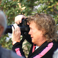 ��������е�����