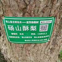 ��ɽ���棬19.9һ�䣡5��װ��