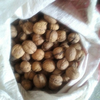 �ϼ�ɽ�ϵĺ��Һ�С�ף�����������