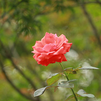 ����  ����