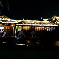 ҹ������