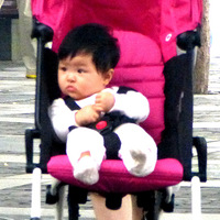 ������̬